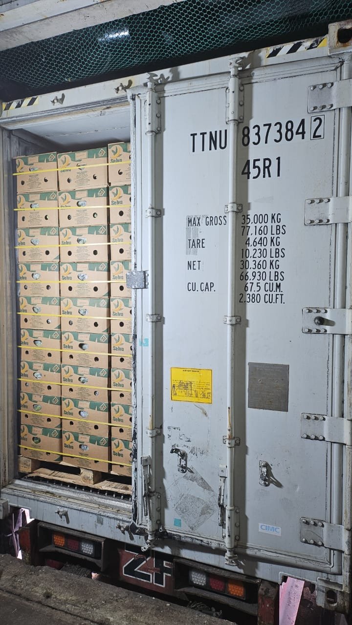 Contenedor refrigerado cargado con cajas Selva para exportación